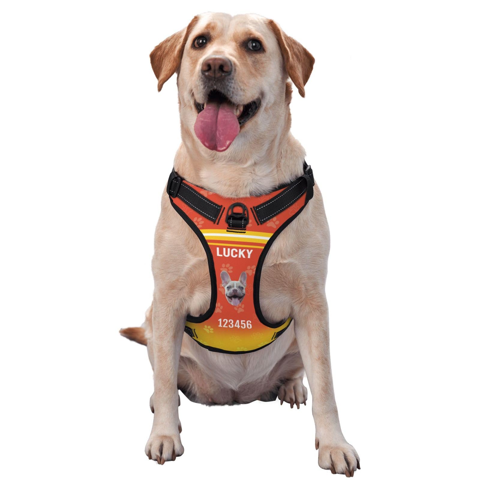 Personalized No Pull Dog Harness Leash, Custom Heavy Duty Reflective Dog Harness with Photo/Name/Phone Number/Text/Logo