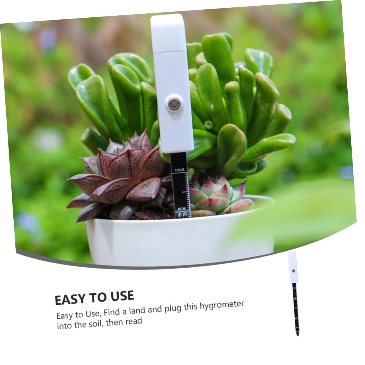 BESPORTBLE 3 Pièces Détection De L'humidité du Sol Usine Mètre Médite De Jardin Capteur pour Numérique Compteur De Sol Détecteur D'humidité Testeur De Sol De Jardinage Le Fer Blanche
