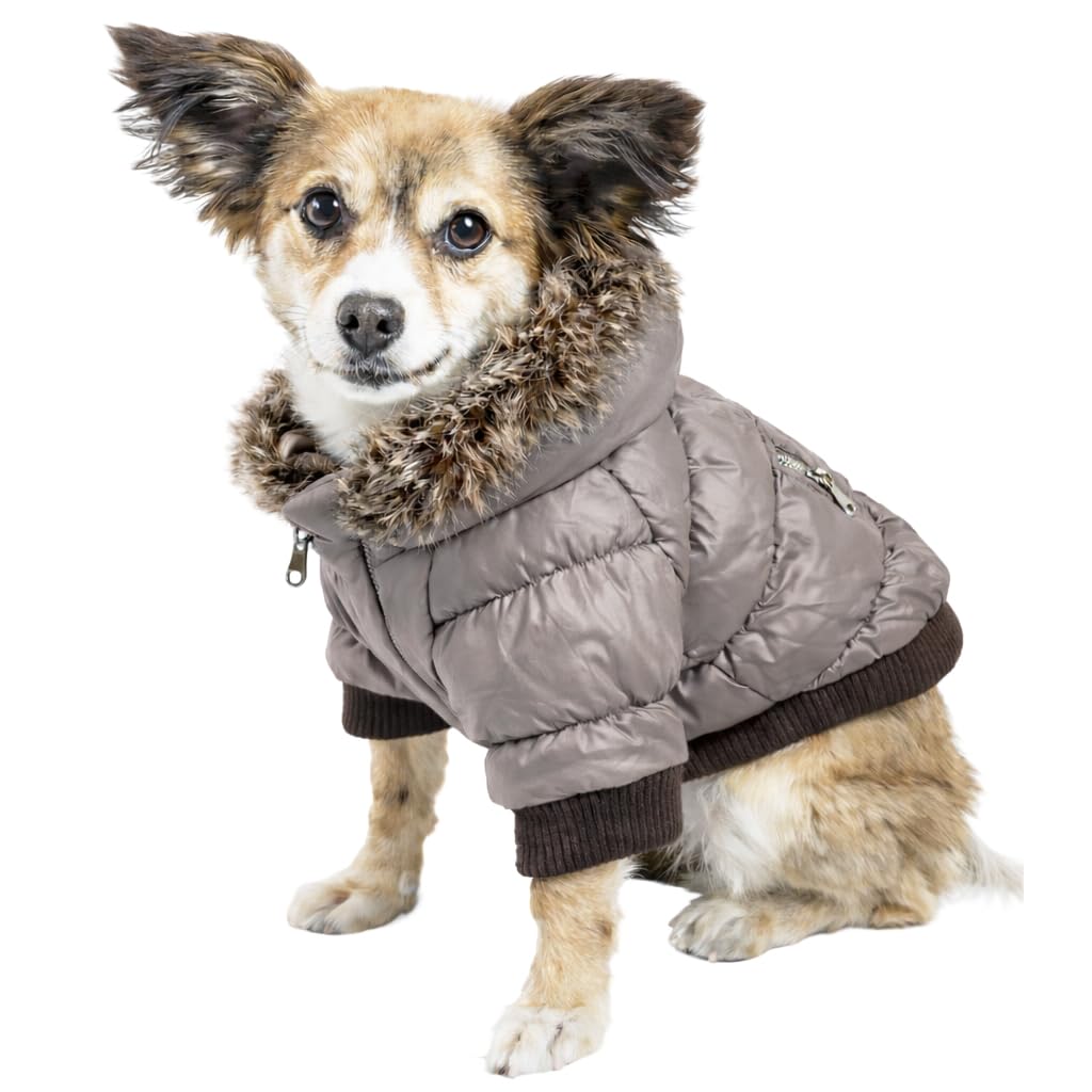 Parka pour chien PetLife Metallic Fashion : manteau gris pour balade urbaine et parc