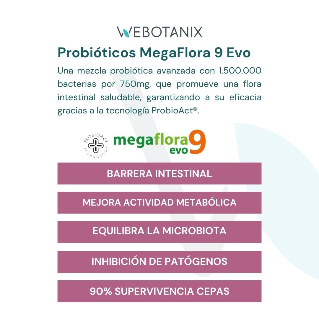 WeBotanix | Probiotax Microbiota 30 dosis | Probióticos y Prebióticos, L-glutamina y Zinc | Vegano | Bienestar de la Microbiota Intestinal | Sin Gluten y Sin Lactosa (150 g, Cacao)