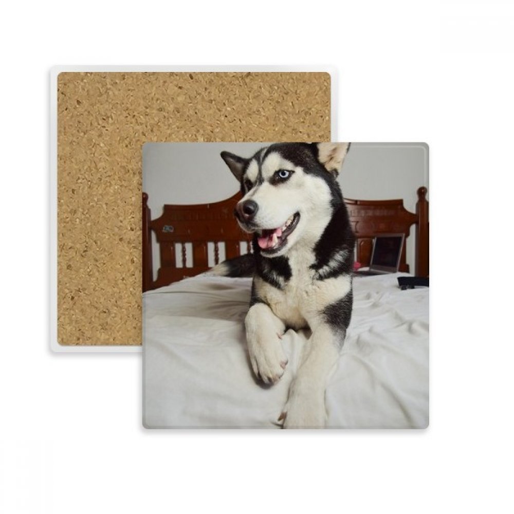 Tache de verre évitée avec ce coaster Husky en pierre absorbante