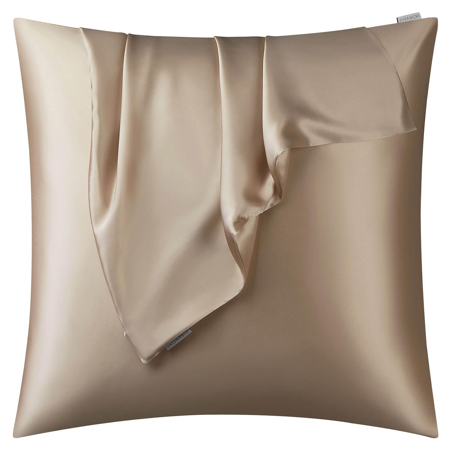 DISANGNI 100% Natural Mulberry Silk Pillow case for Hair and Skin with Hidden Zipper 22 Momme Both Sides Real Silk Pillow Case (1pc 50x60cm, Taupe)
