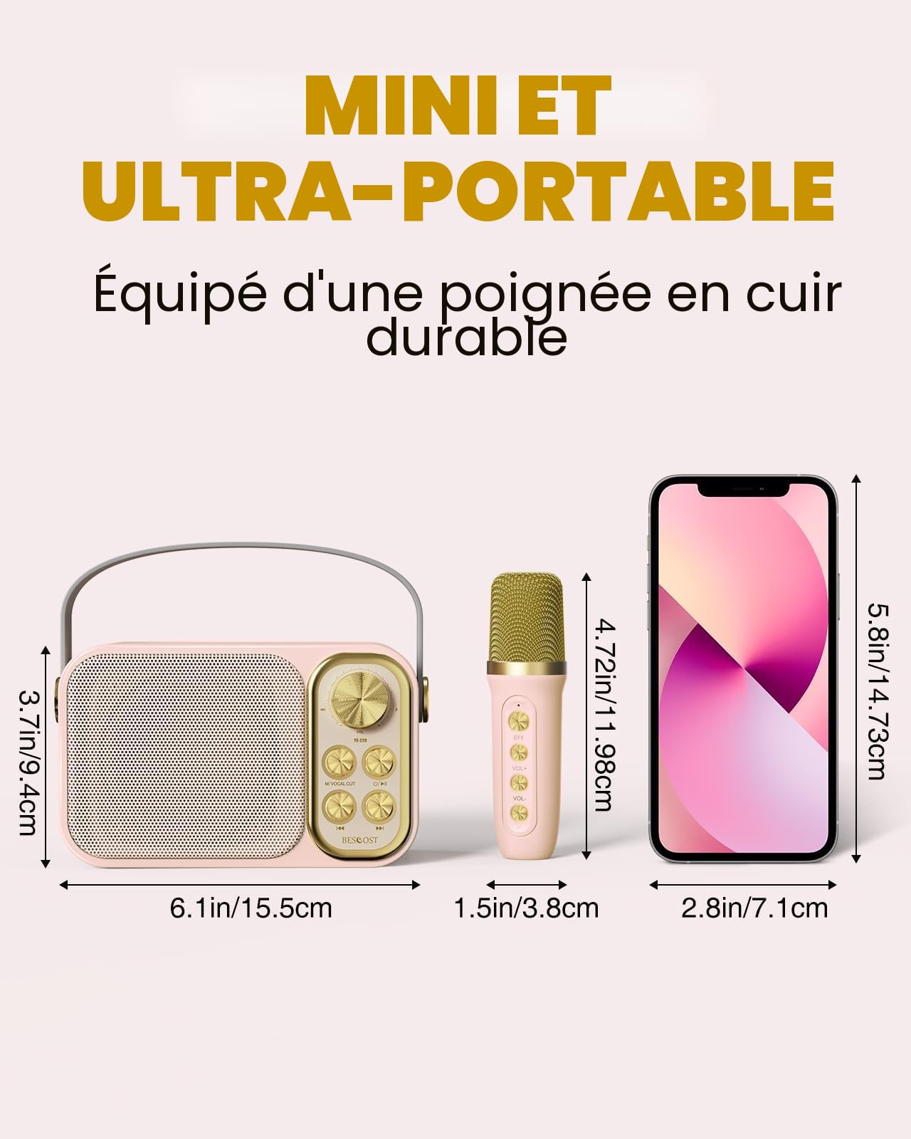 Machine de Karaoké avec 2 Micro sans Fil, Haut-Parleur Bluetooth Portable, Dispose 7 Effets Sonores, pour Fête et Voyage