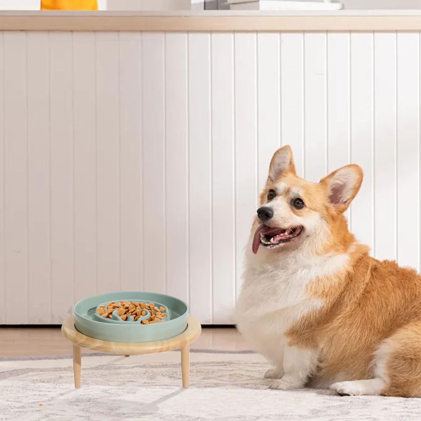per Cibo Lento per Cani - in ceramica, rialzato per Cani Lento