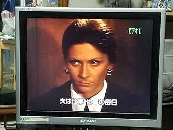 （レア）青年は荒野をめざす　VHS ビデオテープ ARB 石橋凌 主演 映画 VHS ビデオテープ 12作品 レア 貴重