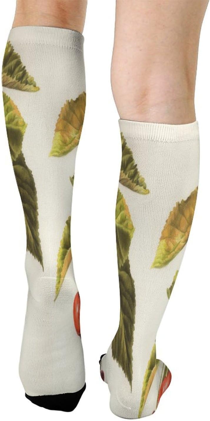 Art Cherry Painting Crew Socks Calf Socks Athletic Crew Sock