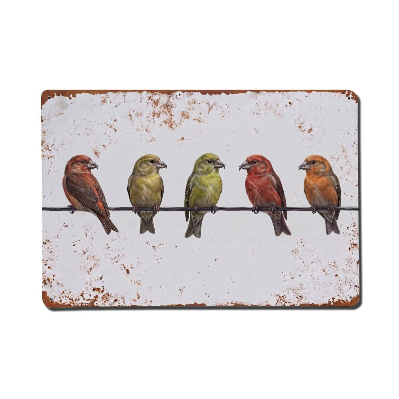 Vintage Retro Birds Crossbill Metal Tin Sign
