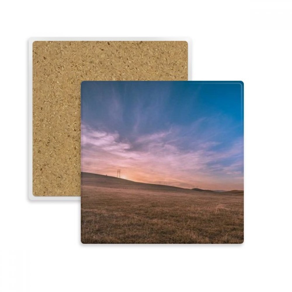 Coaster pierre absorbante anti-tache ciel rose herbe pour tasse et verre
