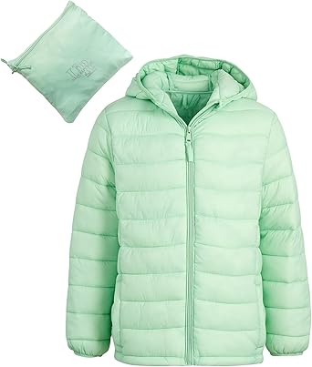 best urban down jacket