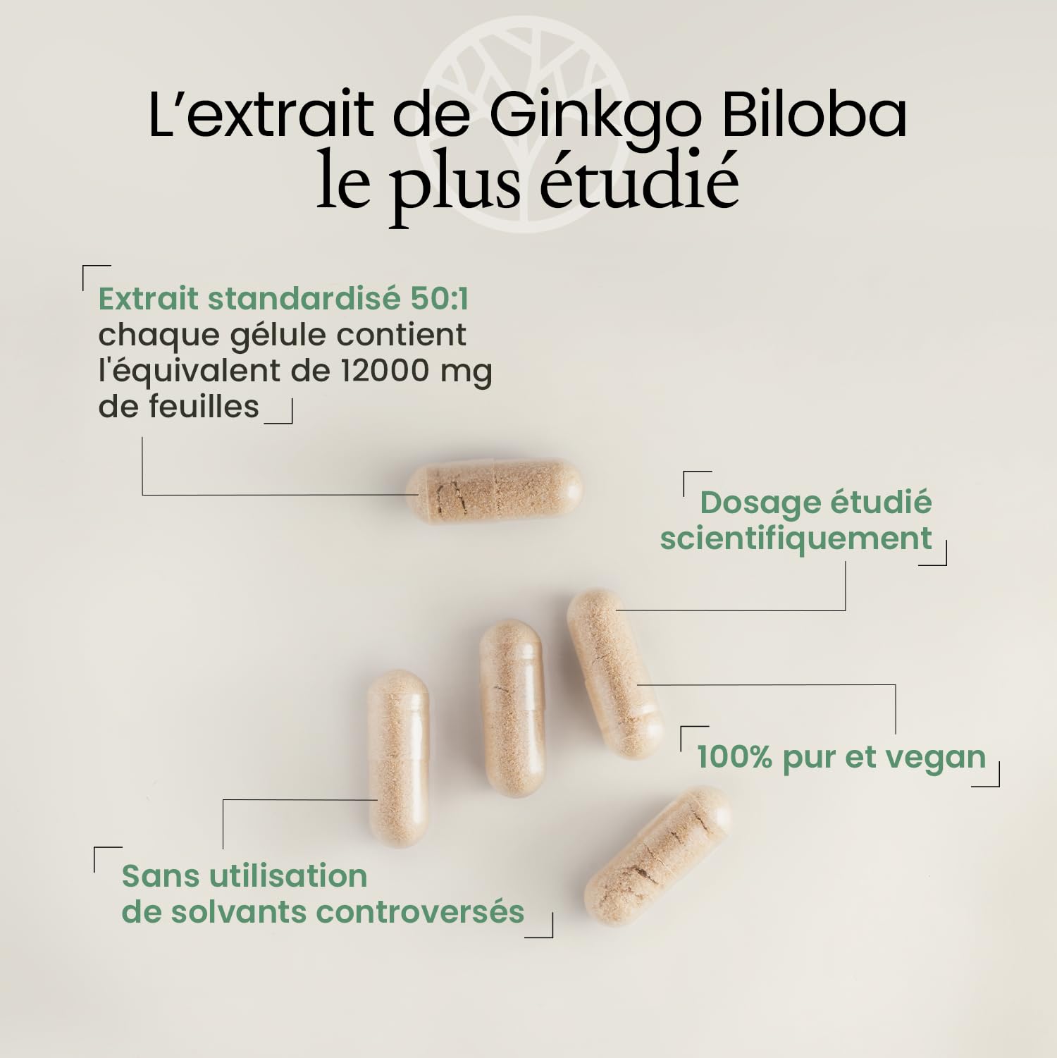 GINKGO BILOBA Extra Fort | Circulation Sanguine - Mémoire - Concentration - Acouphènes | Extrait 50:1 Hautement Dosé 12000 mg par Gélule | 60 Gélules Vegan | Made in France | Terravita