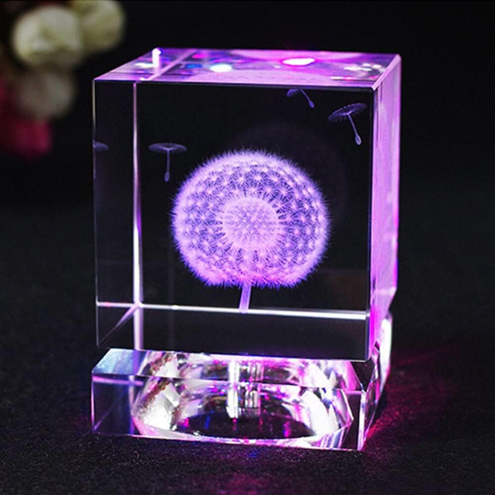 HXSCOO Dandelion Miniatures 3D Etched Crystal Square Glass