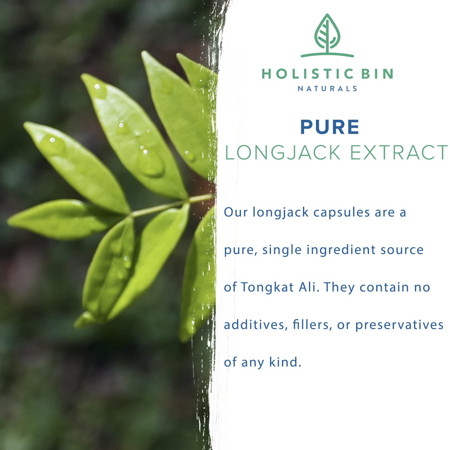 Buy Indonesian Tongkat Ali Capsules by Holistic Bin 1000mg Per Serving Wild Harvested