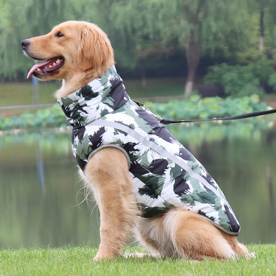 Idepet Chaqueta para Perros, Abrigo Cálido para Pequeños, Medianos y Grandes, Chaleco de Nieve a Prueba de Viento, Ropa con Orificio para Arnés