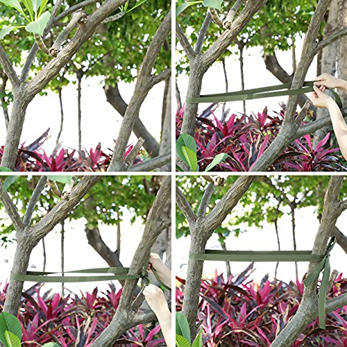 Shappy Green Polyester Garden Tree Tie Webbing #TOP15