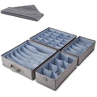 Satrio Underwear Storage Box, Underwear Storage Case, 4-Piece Set, Includes Handles, Washable Storage Case for Clothes Organi