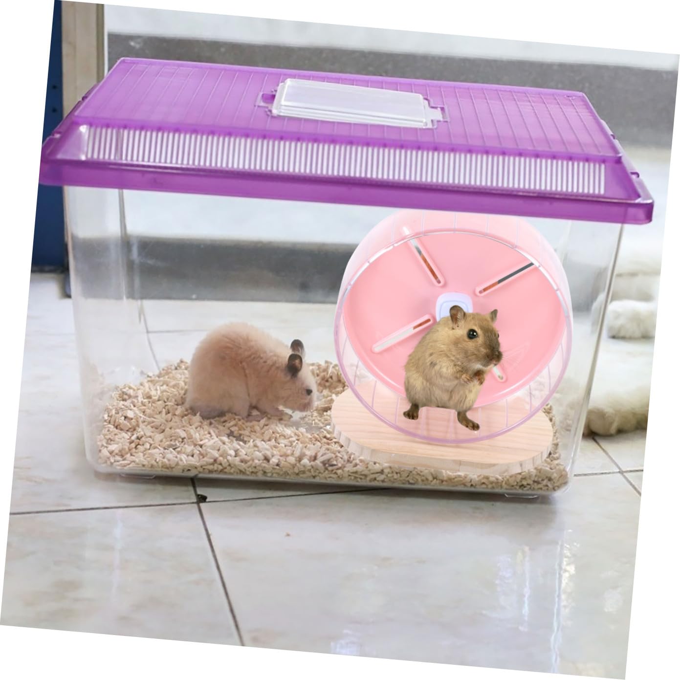 Abaodam Ruota da Corsa Silenziosa per Criceti 20cm Base in Legno e Abs Giocattolo per Piccoli Animali Allenamento e Gioco per Hamster