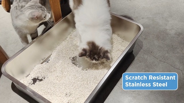 Amazon.com: IKITCHEN Stainless Steel Cat Litter Box, Large Metal