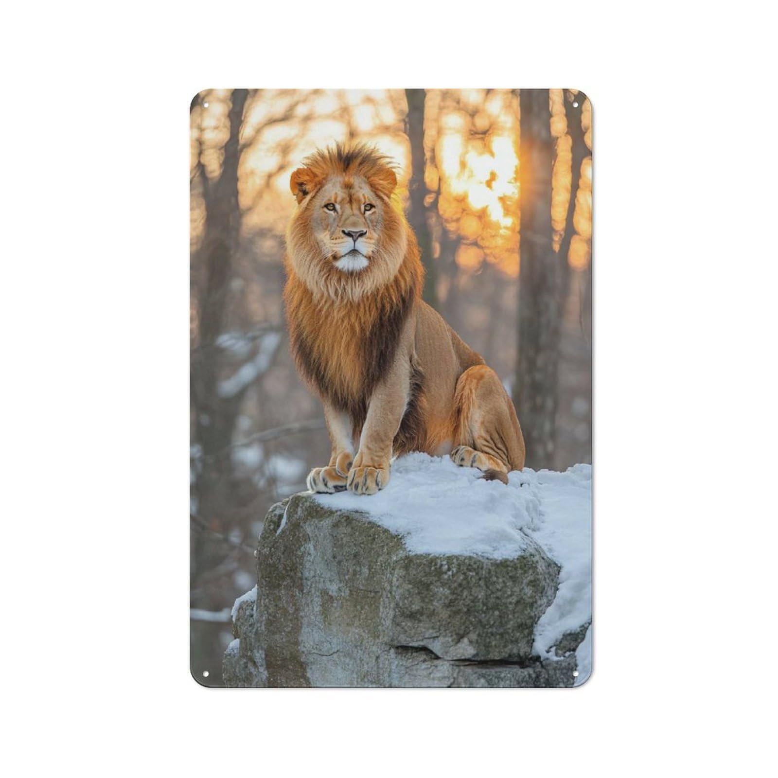 Junmoney Style-10 Majestic Lion On Snowy Rock Vintage Tin Sign 30X20cm For Café Or Restaurant, For Café Owners And Decorators, For Retro Home Interiors
