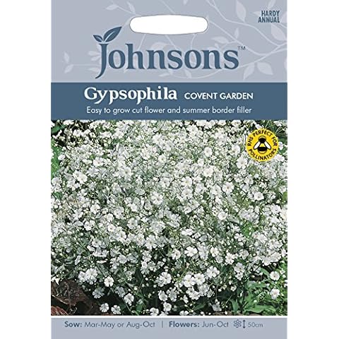 Johnsons Gypsophila Covent Garden Flower Seeds Cover
