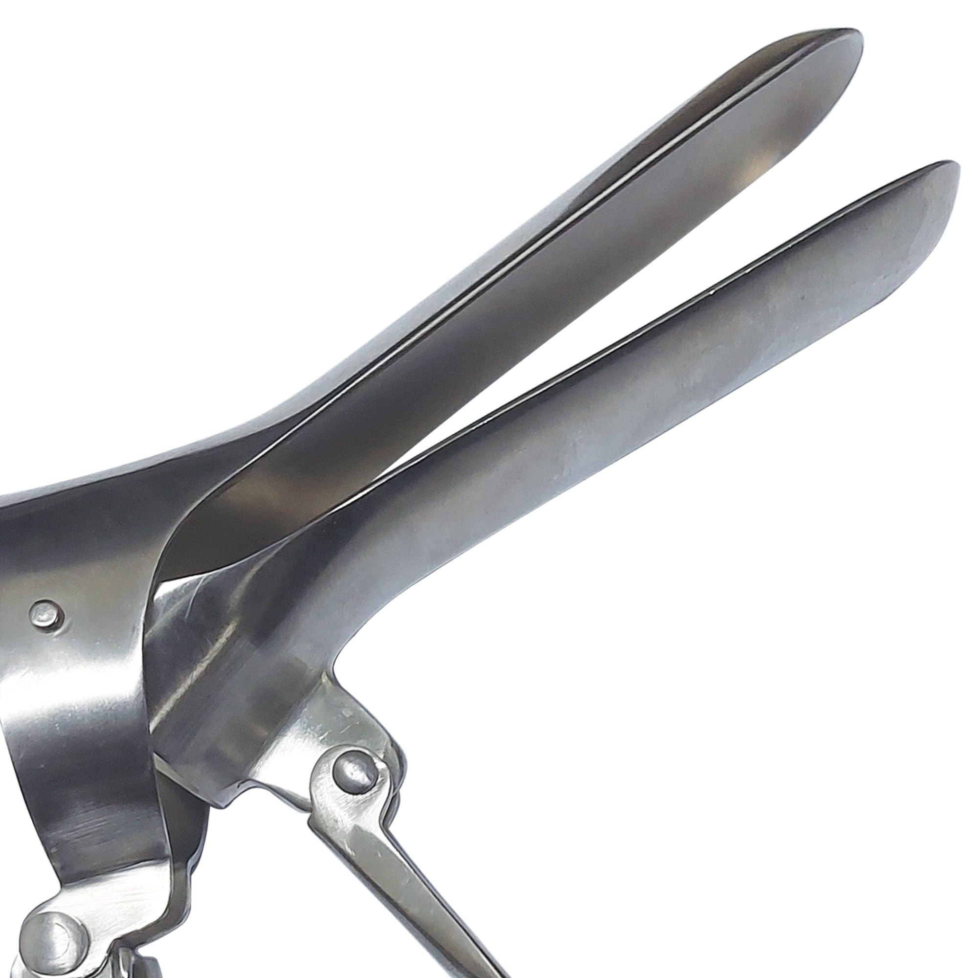 Gima 29771 Cusco Speculum inoxydable, Medium, 1 PC