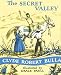 The Secret Valley (Trophy Chapter Book)