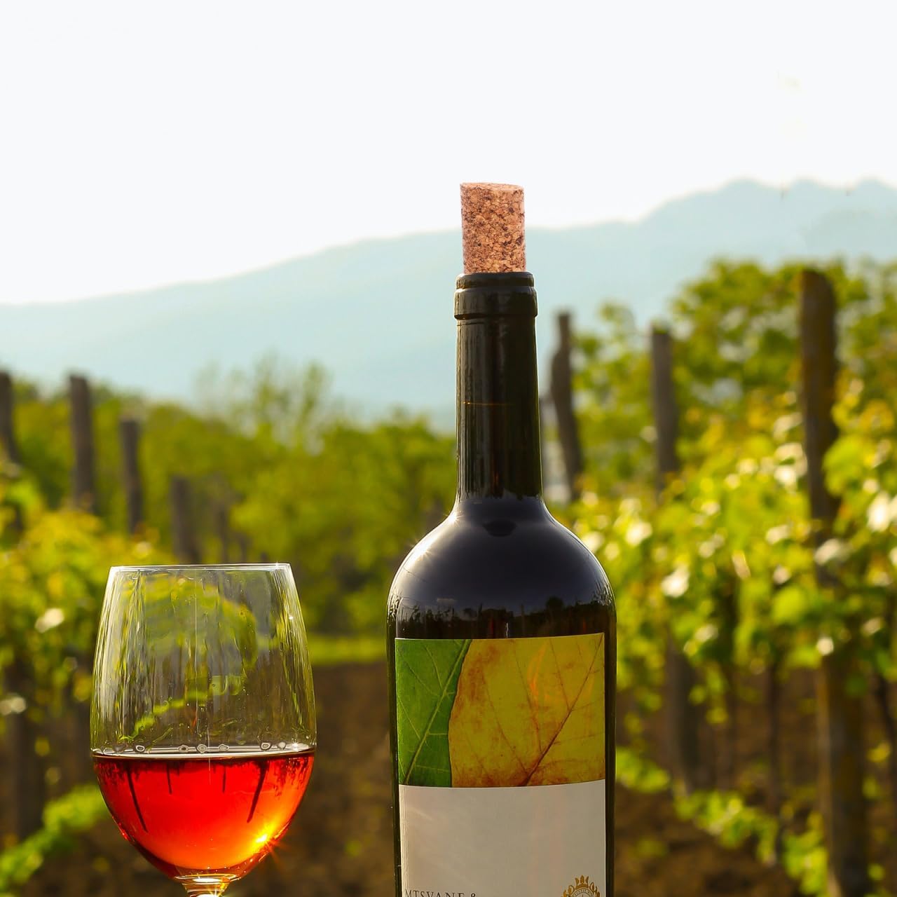 HOMSFOU 2pcs Wine Bottle Corks Stoppers