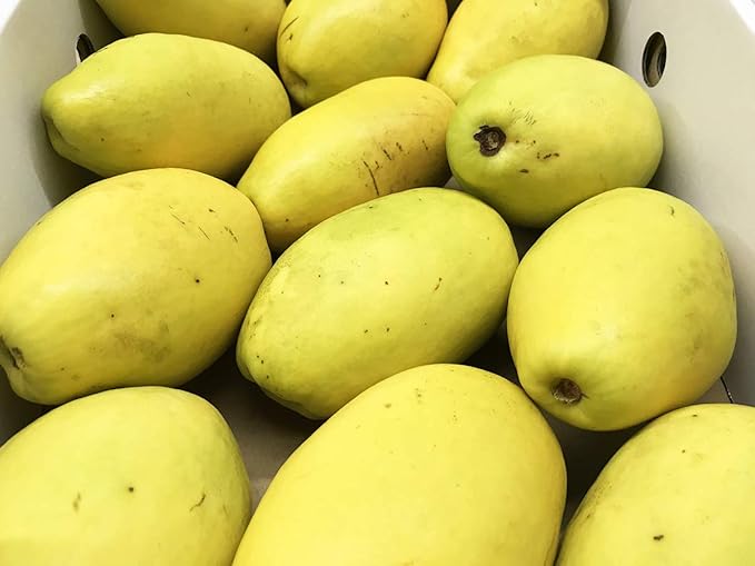 Amazon 山梨県産 かりん 花梨 カリン 10 13玉入り 箱 生鮮卸売市場 果物 通販