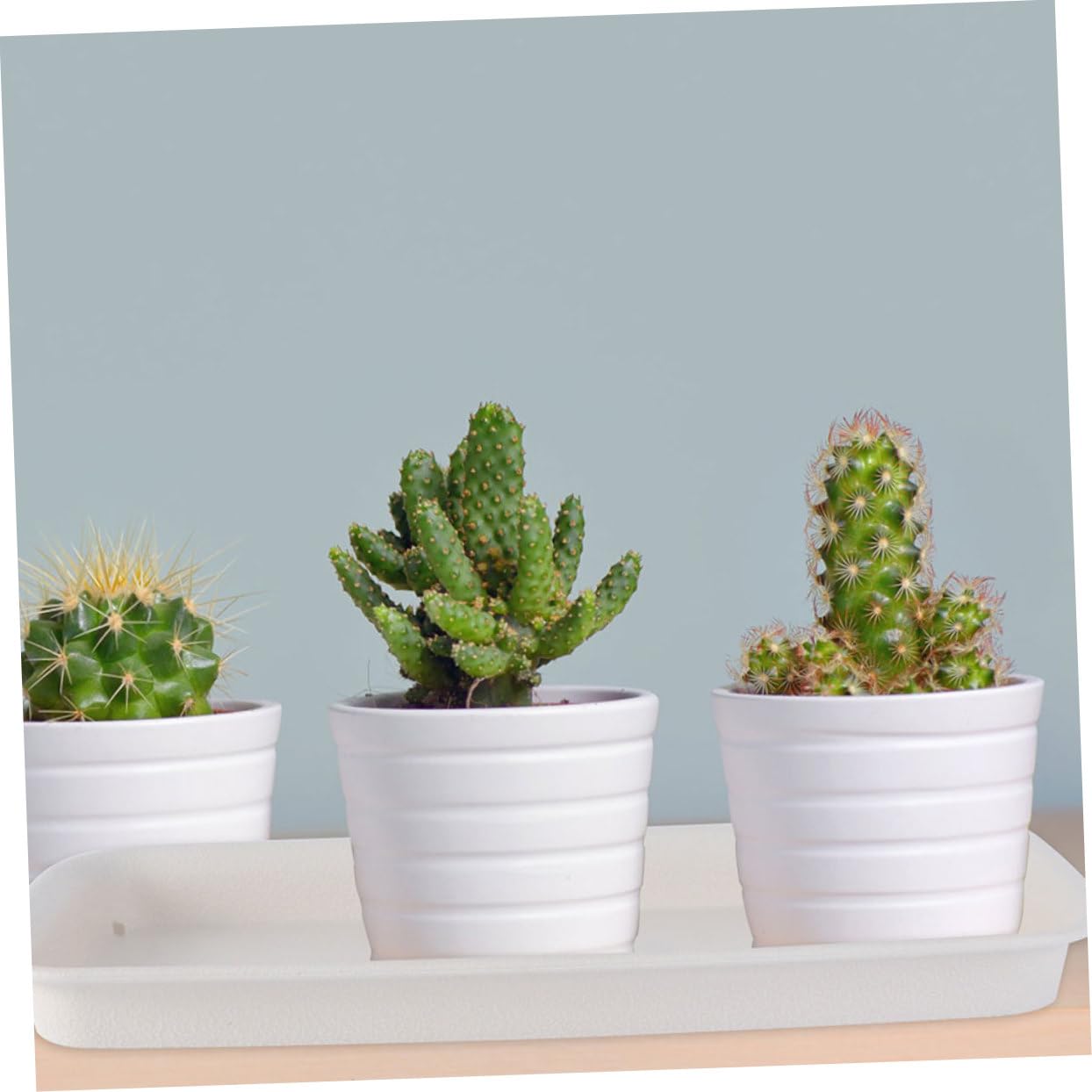 Gogogmee Rectangular Flower Pot Trays 15.7 Inch Plastic Plant Drip Saucers Leakproof Water Tray Base with Anti-Slip Uv Resistant Design for Indoor Outdoor Gardening - Image 2