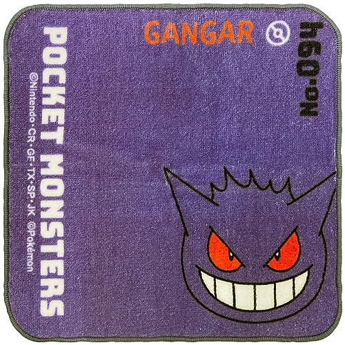 (Hayashi) ~j^I 20×20cm |P QK[ PJ411154