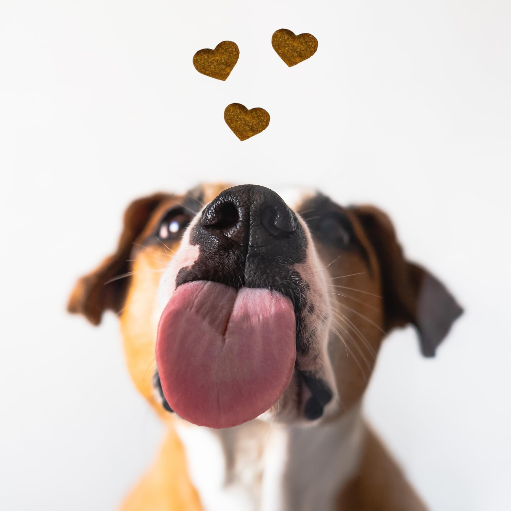 BESTI - Digestion | 120 Compléments Alimentaires Premium pour Chiens | Probiotiques, Prébiotiques, Postbiotiques | Flore Intestinale | Marque Française - Formule Vétérinaire | Au Poulet | 300 GR
