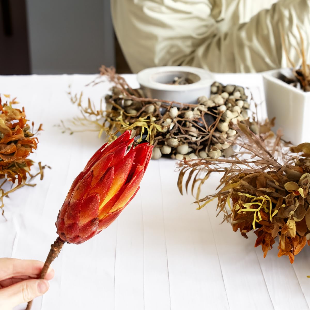 Protea Trockenblumen orange rot gebleicht - 5er Set echte afrikanische Zuckerbüsche als getrocknete Naturdeko
