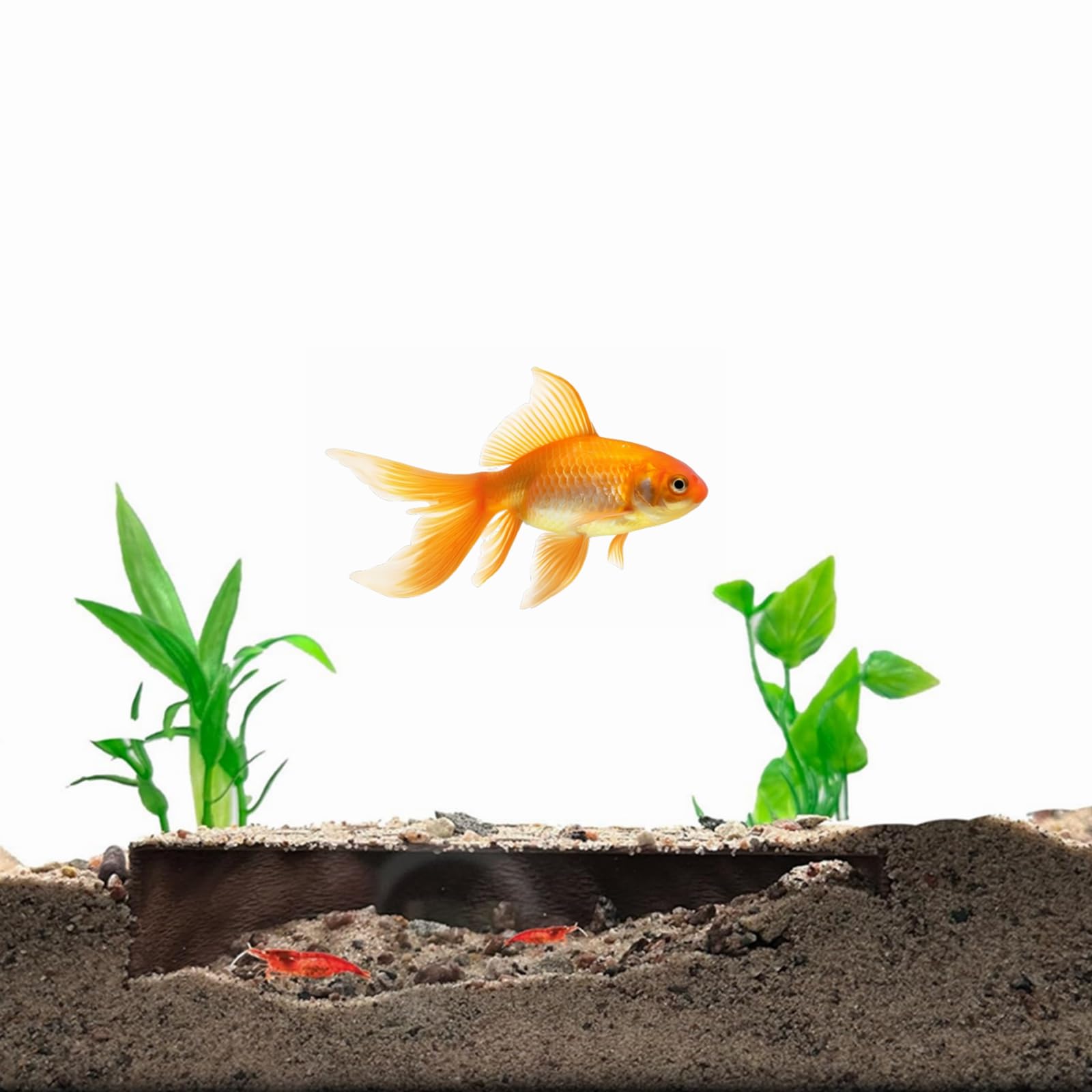 Shrimp Breeding Protector - Shrimp Breeding Cave Indoor Outdoor Aquarium Cave Aquarium Tunnel Shrimp Hides for Aquarium/Fish Tanks/Fish Ponds/Shrimp Ponds/Breeding Tanks (Brown)