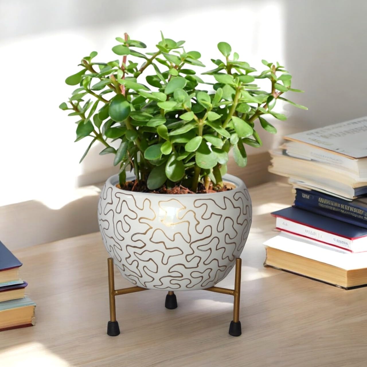 ecofynd 5 inches, Lio Metal Planter Pot with Stand, Modern Style Planter Set, Indoor Outdoor Home Decor Item for Garden Plants Flower, Balcony, Patio, Living Room, Garden, Bedroom (Pack of 1) (B0BCGS5K3Q) Amazon Price History, Amazon Price Tracker