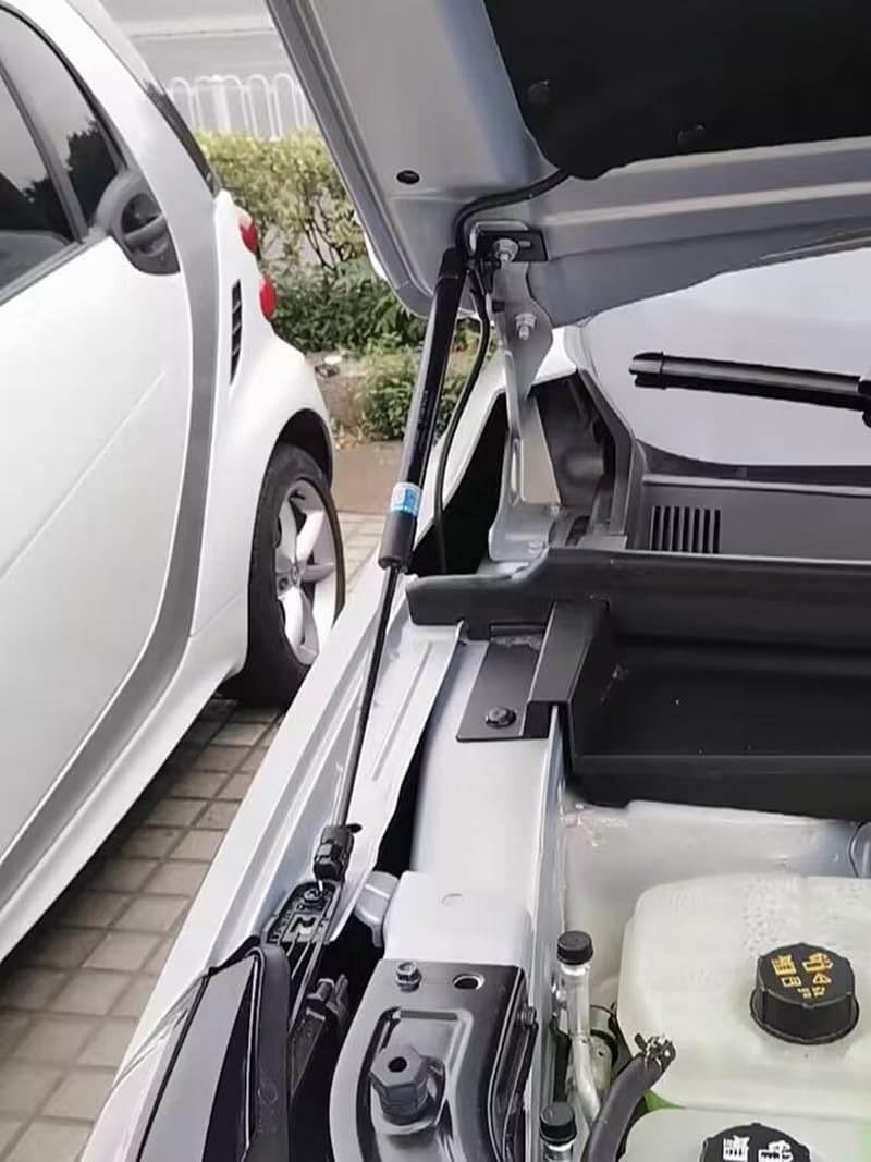 Compatible With GAC Trumpchi EMKOO 2023 2024 Car-Styling Refit Bonnet Hood Gas Shock Lift Strut Bars Support Rod Accessories(Carbon silver)