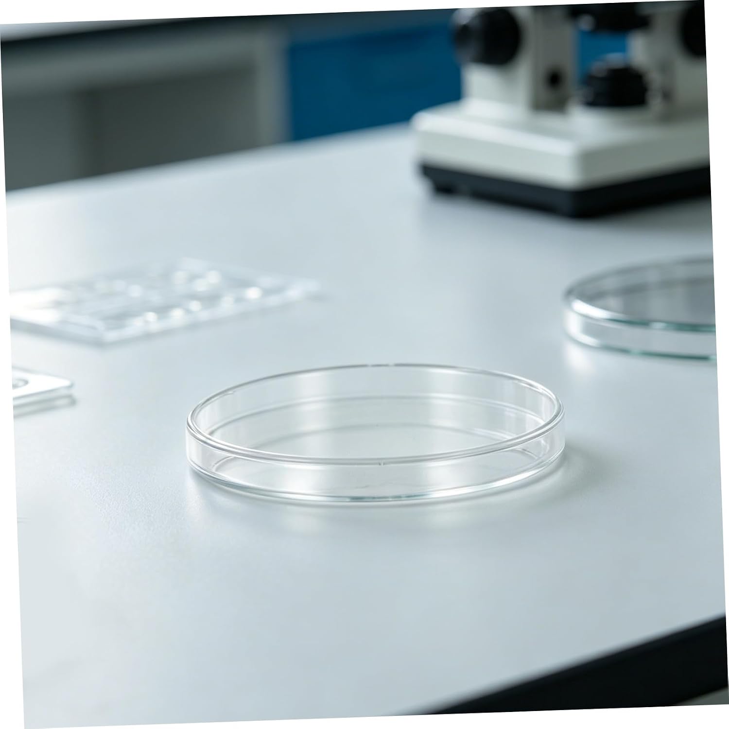 Plastic Petri Dishes with Observation with Tight-Fitting Lids 10pcs 90mm Diameter Laboratory Culture Plates for Cell Culture for Mycology and Teaching Labs