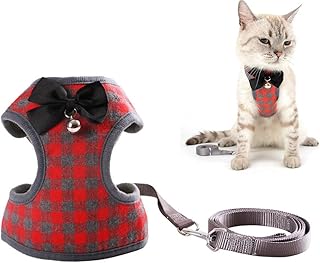 shock collar for cats amazon