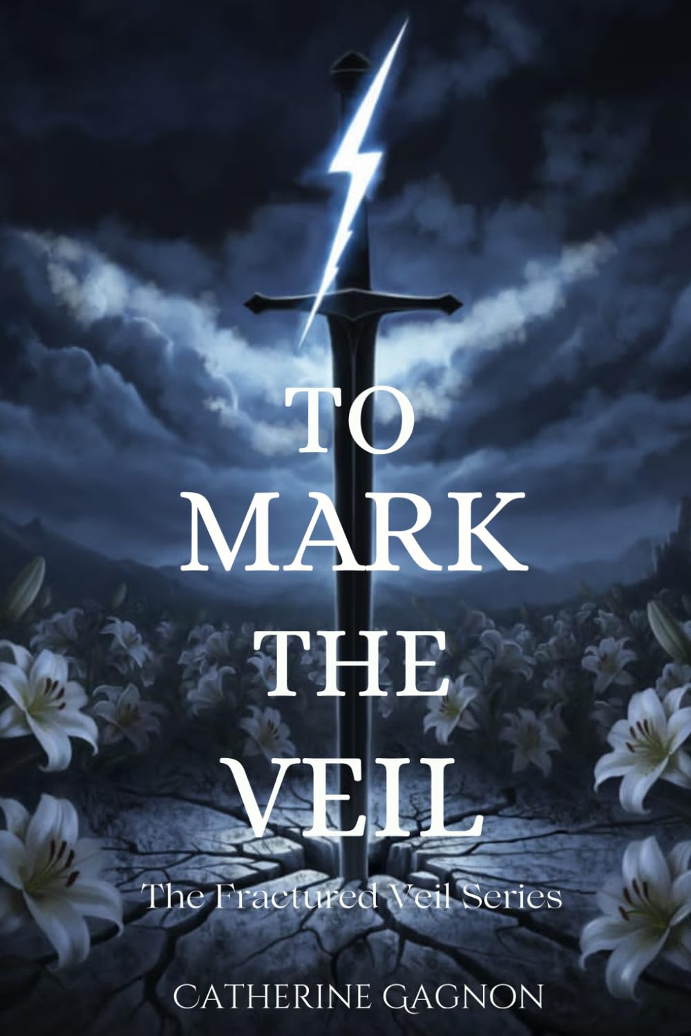 To Mark the Veil: A Fractured Veil Series