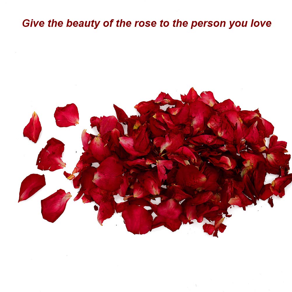 Yumi V 100 Grams Rose Petals, 100 Natural Red Rose Petals Dry Rose