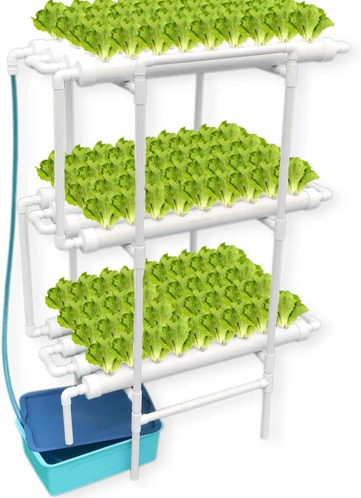 4*3 Pipe Hydroponics System