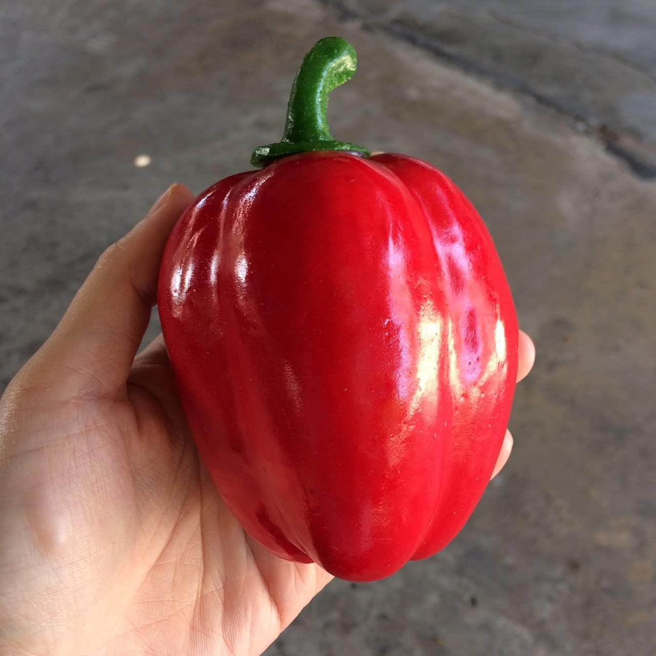 Pack of 3 Artificial Sweet Pepper Fake Vegetable Red, Green, Yellow for Display
