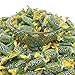 Jolly Ranchers Hard Candy 3lbs- All Green Apple Individually Wrapped Delicious Fresh Candy, 48oz (Packaging Might Vary)