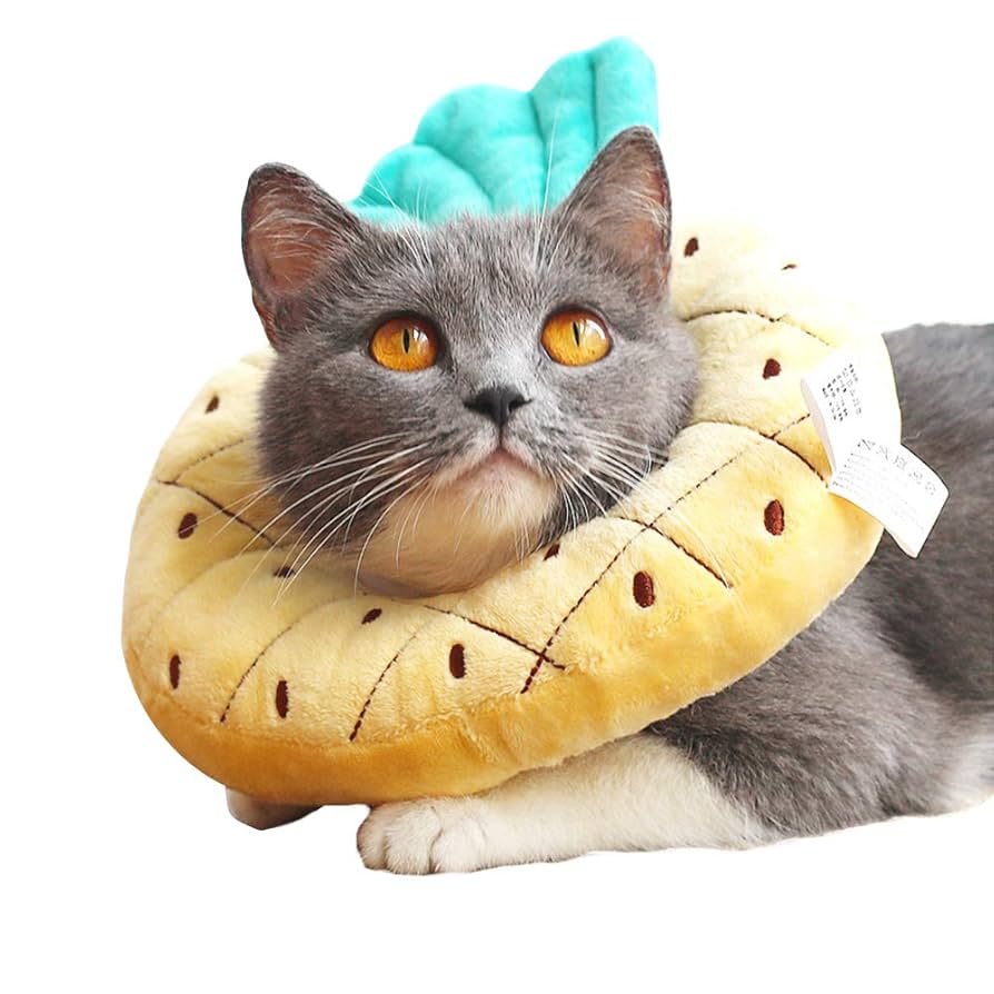 Amazon | ICOUCHI エリザベスカラー 猫 犬用 ソフト 可愛い 果物