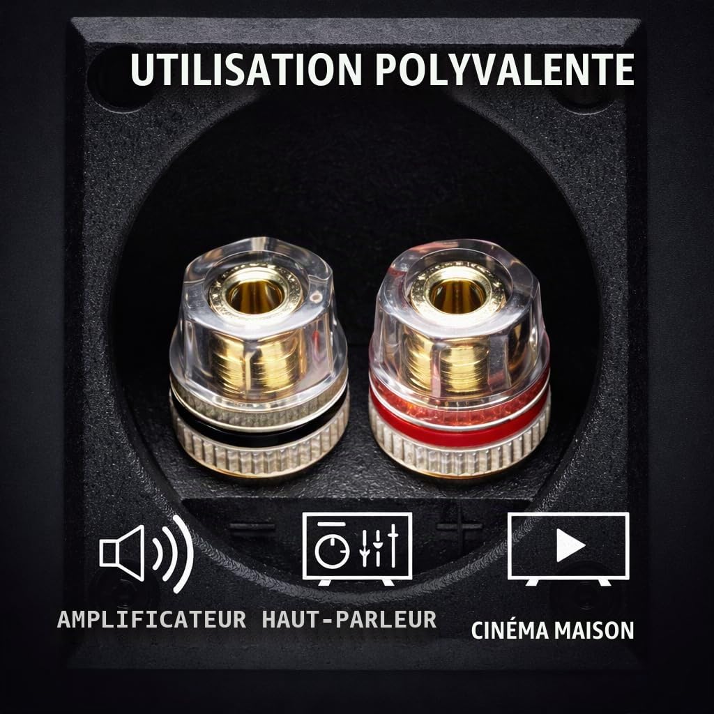BLca 50m - 2 x 2.5mm² - Câble Audio pour Enceintes - Câble HP haut-parleur en CCA Cuivre pour HiFi et Hi-Fi Embarquée 2 5mm2