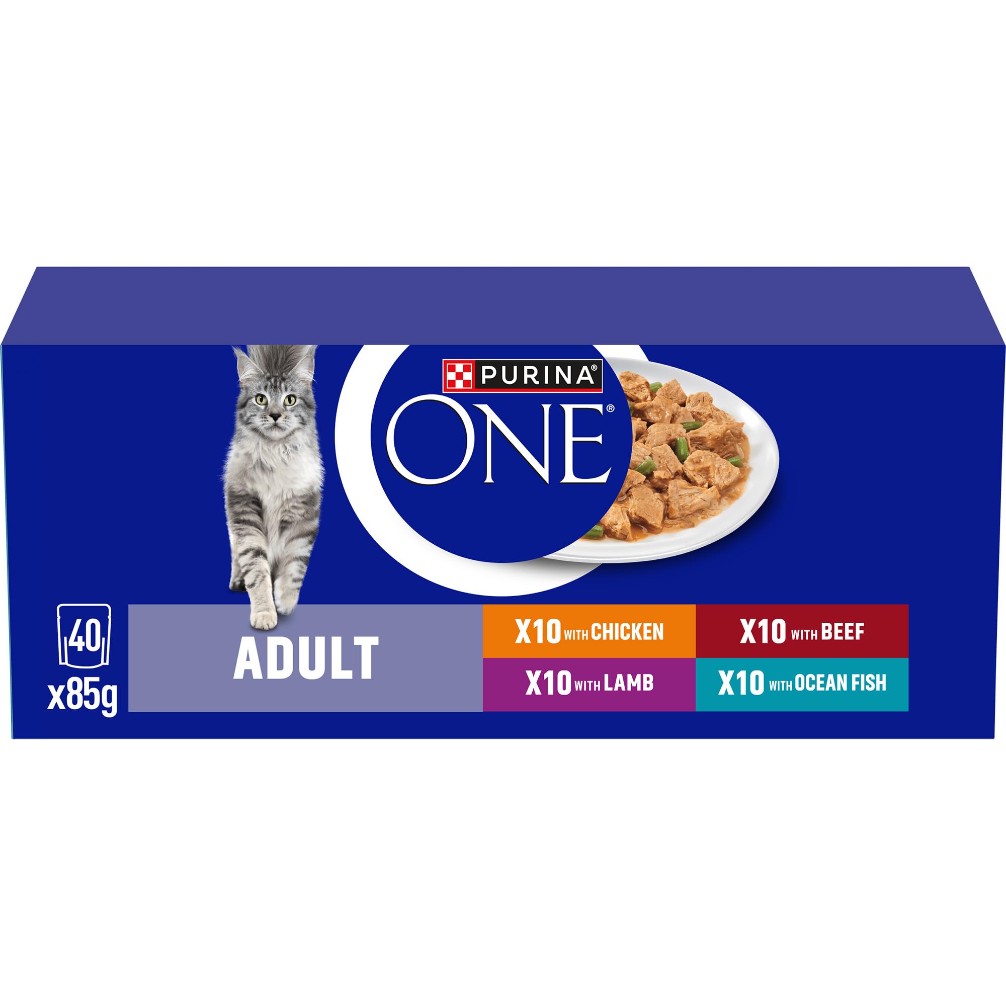 PURINA ONE Mini Fillets Mixed Selection in Gravy Adult Wet Cat Food 40x85g