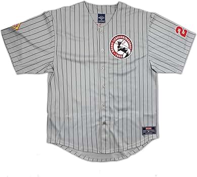 応援グッズ Negro League Baseball Hawaiian Shirt 61kUAeCzZnL._UY350_.jpg