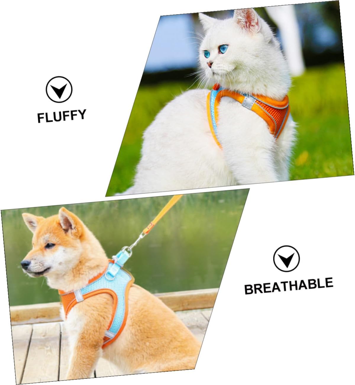 Pet Vest Leash Set with Reflective Breathable Mesh, L Size Adjustable Puppy and Cat Harness for Outdoor Walking, Sturdy Pet Supply for Dogs and Cats
