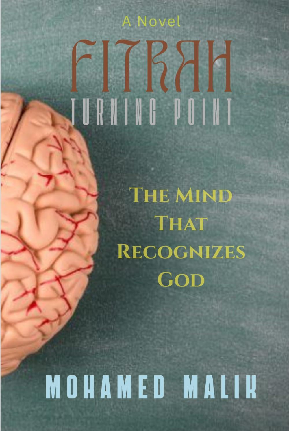 FITRAH: Turning Point: A Novel of Science, Faith, and the Search for Consciousness