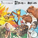  Compostos Orgânicos Racionais [Explicit]