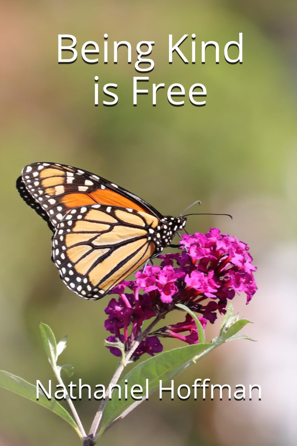 Being Kind is Free