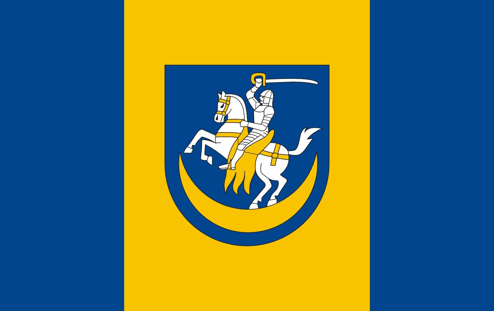 Drapeau Tarnów grand modèle pour décoration intérieure et mât